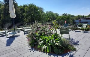 Begrünte Dachterrasse mit Sitzbereichen und vielfältiger Bepflanzung